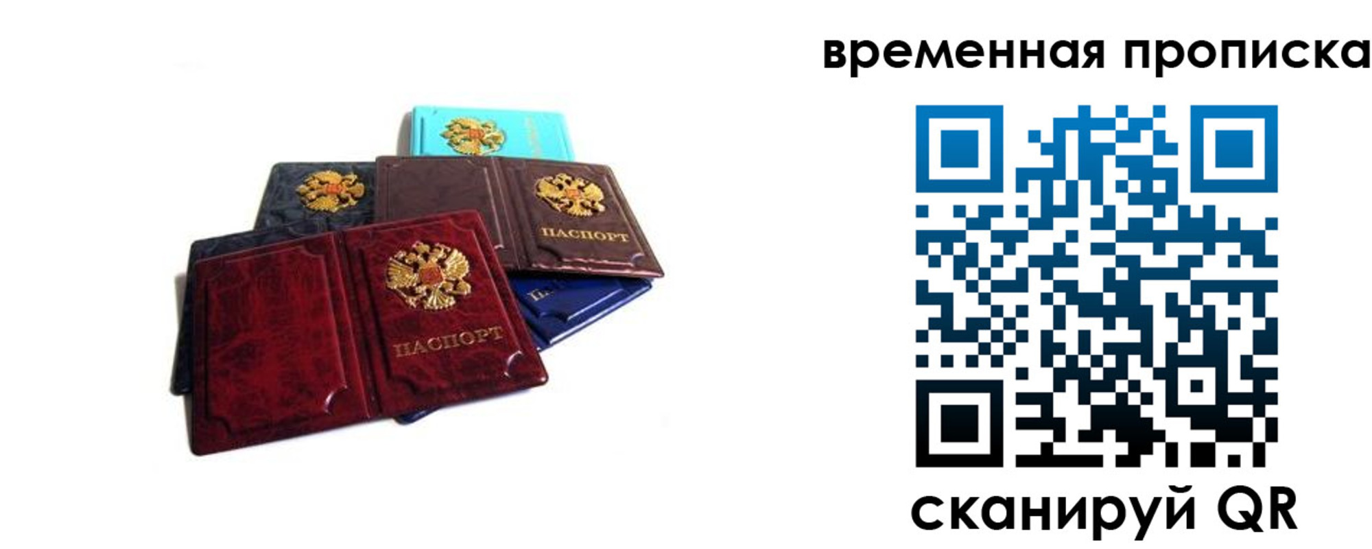 прописка законно в Дрезне